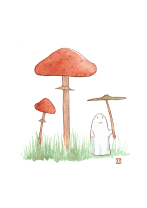 Champignons (A6)