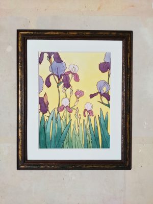 Iris